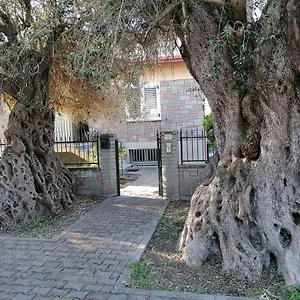  Appartement La Casa Degli Ulivi